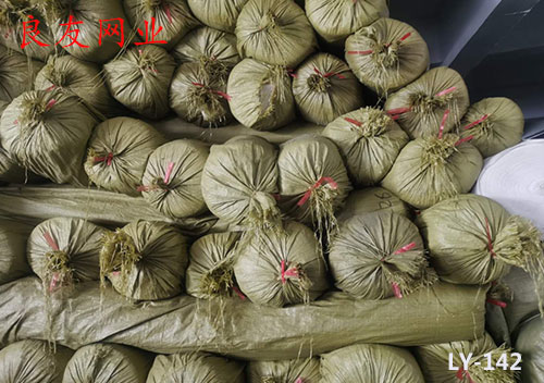 于都耐用的栏护网价格